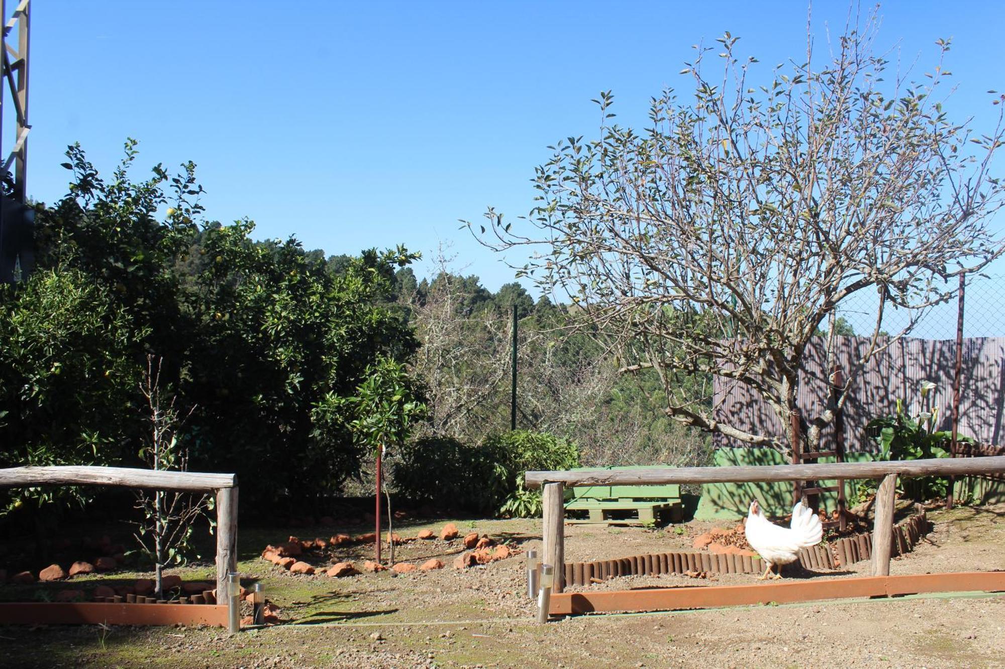 Finca Esther Las Palmas de Gran Canaria Zewnętrze zdjęcie